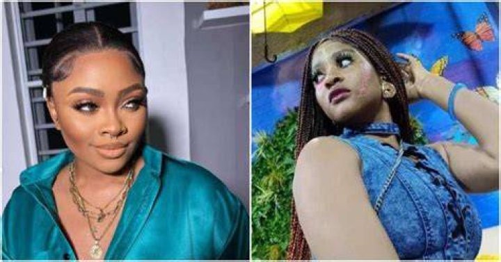 
BBNaija: “Phyna’s Loudness Irritates Me” – Tega Says 
