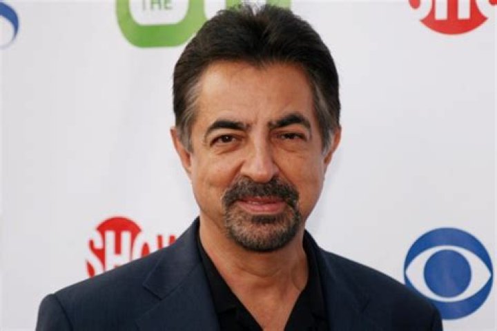 Did Joe Mantegna Serve In The Military? Is He Sick And Did He Have Stroke?