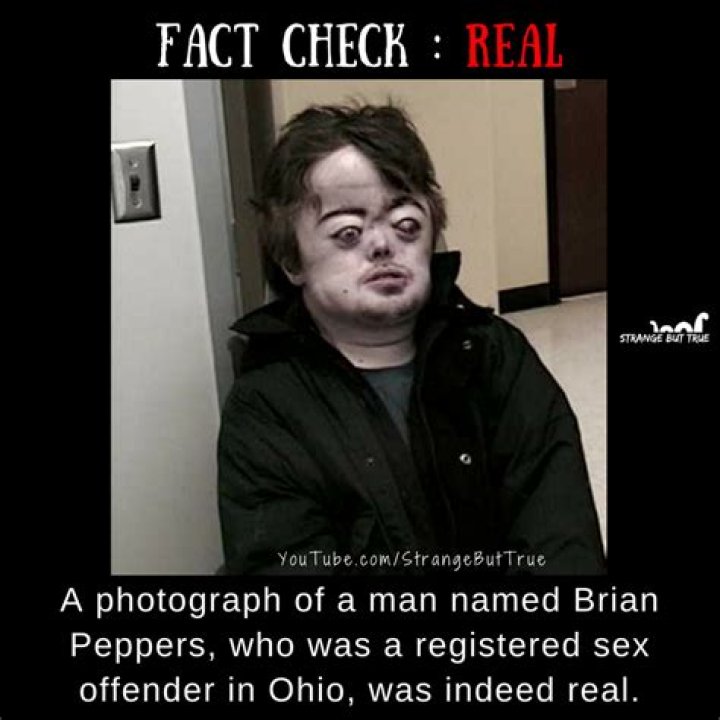 The Unknown Truth On Brian Peppers Sexual Offender Story, Here Is What You Didn’t Know About The Meme