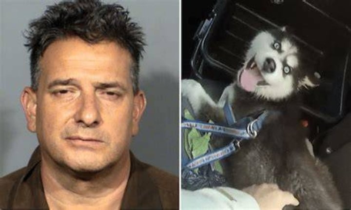 
Was Raul Carbajal Arrested? California Man Left Puppy’s Mouth Taped 