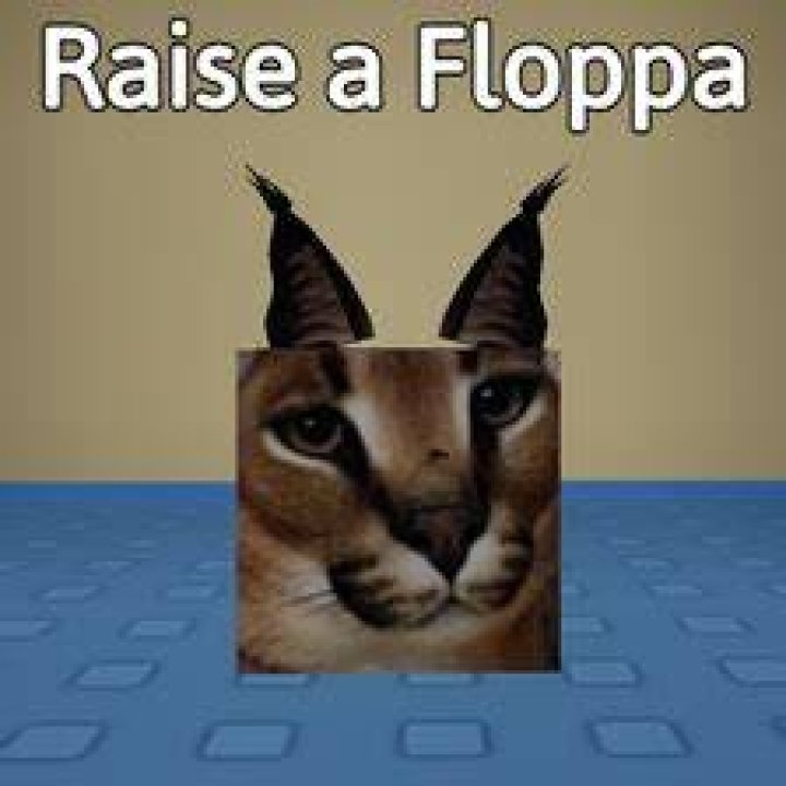 
What Happened To Raise A Floppa? Roblox Game Deleted Again!! 