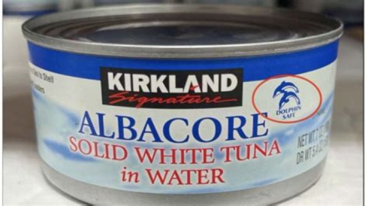 
Why is Costco getting sued? Details revealed as brand faces lawsuit over “dolphin safe” canned tuna claim 